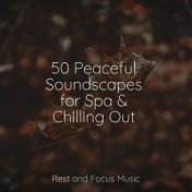 50 Peaceful Soundscapes for Spa & Chilling Out