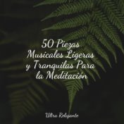 50 Piezas Musicales Ligeras y Tranquilas Para la Meditación