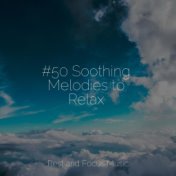 #50 Soothing Melodies to Relax