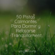 50 Pistas Calmantes Para Dormir y Relajarse Tranquilamente