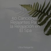 50 Canciones Relajantes Para la Relajación en El Spa