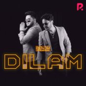 Dilam