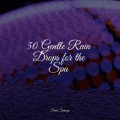 50 Gentle Rain Drops for the Spa