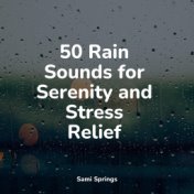 50 Sounds of Rain for Sleep and Meditation