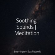 Soothing Sounds | Meditation