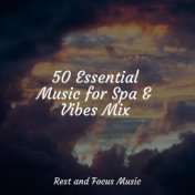 50 Essential Music for Spa & Vibes Mix