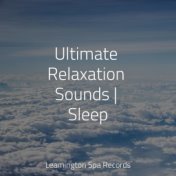 Ultimate Relaxation Sounds | Sleep