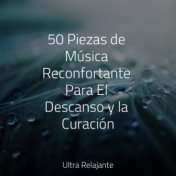 50 Piezas de Música Reconfortante Para El Descanso y la Curación