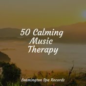 50 Calming Music Therapy