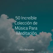 50 Increíble Colección de Música Para Meditación