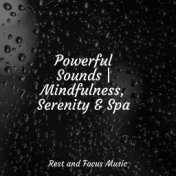 Powerful Sounds | Mindfulness, Serenity & Spa