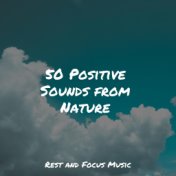 50 Positive Sounds from Nature