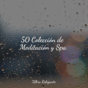 50 Colección de Meditación y Spa