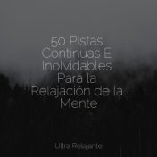 50 Pistas Continuas E Inolvidables Para la Relajación de la Mente