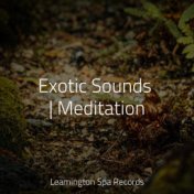 Exotic Sounds | Meditation