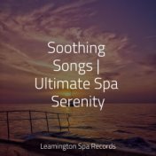 Soothing Songs | Ultimate Spa Serenity