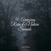 50 Amazing Rain & Nature Sounds