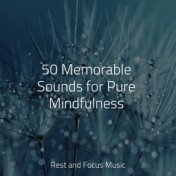 50 Memorable Sounds for Pure Mindfulness