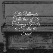 The Ultimate Collection of 50 Calming Tracks to Soothe the Soul