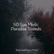 50 Spa Music Paradise Sounds