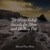 50 Stress Relief Sounds for Sleep and Chilling Out