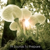 79 Sounds To Prepare