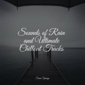 Sounds of Rain and Ultimate Chillout Tracks