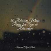 50 Relaxing Music Pieces for Spa & Relaxation