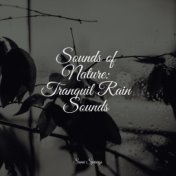 Sounds of Nature: Tranquil Rain Sounds