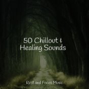 50 Chillout & Healing Sounds