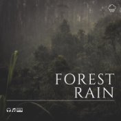 Forest Rain