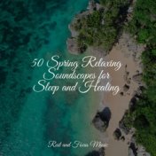 50 Spring Relaxing Soundscapes for Sleep and Healing
