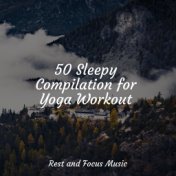 50 Sleepy Compilation for Yoga Workout