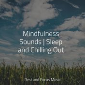 Mindfulness Sounds | Sleep and Chilling Out