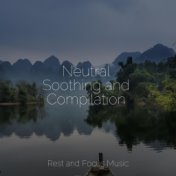 Neutral Soothing and Compilation