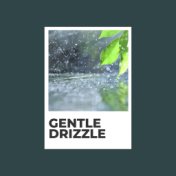 Gentle Drizzle