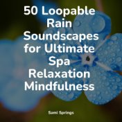 50 Soothing Rain Sounds - Ambient Meditation