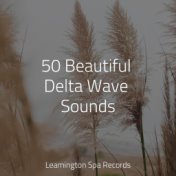 50 Beautiful Delta Wave Sounds