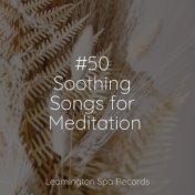 #50 Soothing Songs for Meditation