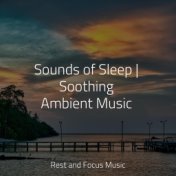 Sounds of Sleep | Soothing Ambient Music