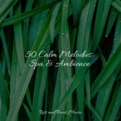 50 Calm Melodies: Spa & Ambience