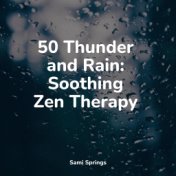 50 Thunder and Rain: Soothing Zen Therapy