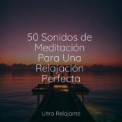 50 Sonidos de Meditación Para Una Relajación Perfecta