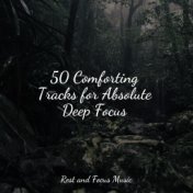 50 Comforting Tracks for Absolute Deep Focus