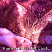 34 An Aura Of Rain Healing Audio