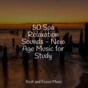 50 Spa Relaxation Sounds - New Age Music for Study