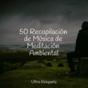 50 Recopilación de Música de Meditación Ambiental