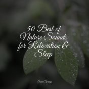 50 Best of Nature Sounds for Relaxation & Sleep