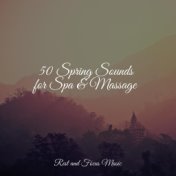 50 Spring Sounds for Spa & Massage