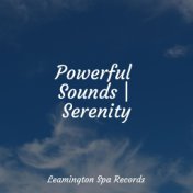 Powerful Sounds | Serenity